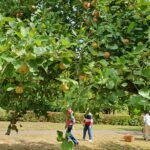 original-0E00A900-C8E8-4354-8F67-B78A5C5596B6