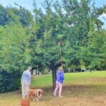 original-204594F0-0646-4395-BBC2-393F3CDAEA2E