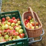 original-287F385F-6723-4AAE-8EAC-D6CB2F99927B