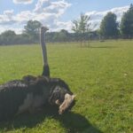 original-8C8505AF-3C96-44B8-A286-FA5C032FA829