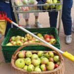 original-9D2FC008-B987-443C-ADFF-CA8EAA325818