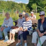 original-DCDDB23C-CF7F-4F95-A006-8056D98A8544