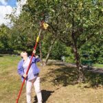 original-F3FF32B9-FFC5-4843-82FF-7E5384B9423E