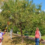 original-F5D8778D-9564-45E1-B404-9F383D0EB020